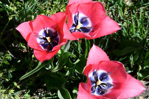 Lin and Michael's Photos