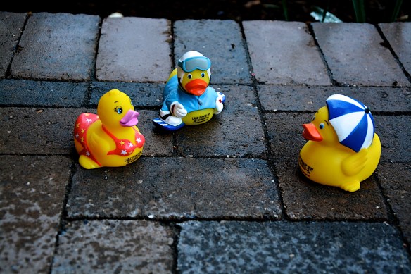 Lin and Michael's Photos