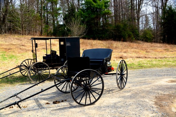 Lin and Michael's Photos