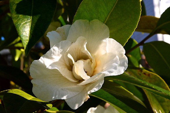 Lin and Michael's Photos