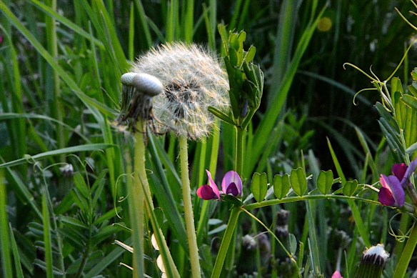 Lin and Michael's Photos