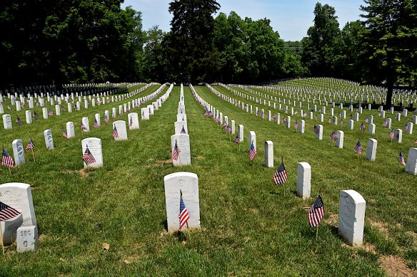 Lin and Michael's Photos