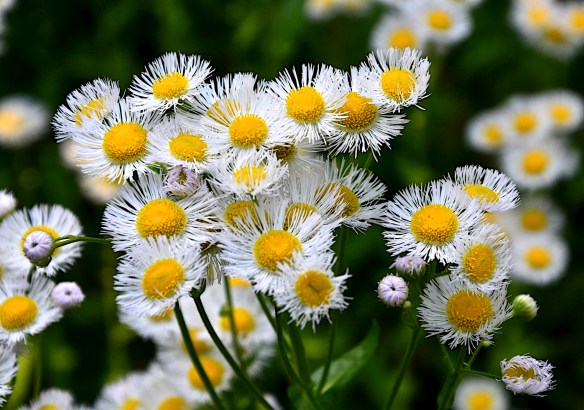 Lin and  Michael's Photos