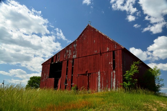 Lin and Michael's Photos