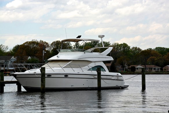 Lin and Michael's Photos