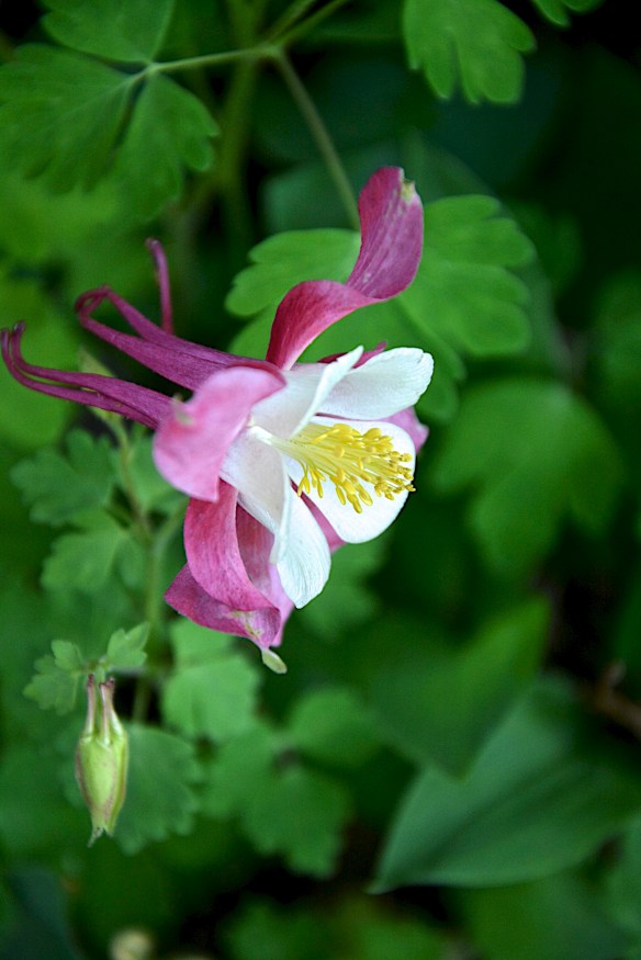 Lin and Michael's Photos