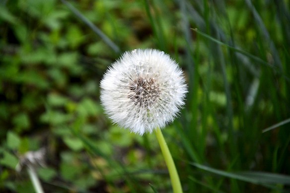 Lin and Michael's Photos