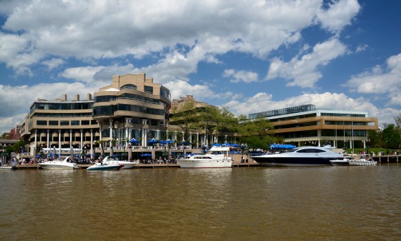 Lin and Michael's Photos