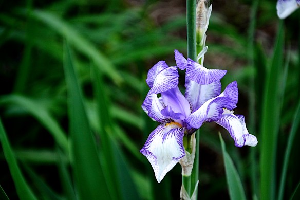 Lin and Michael's Photos