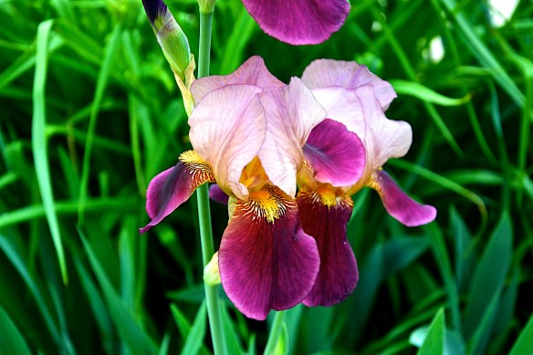 Lin and Michael's Photos