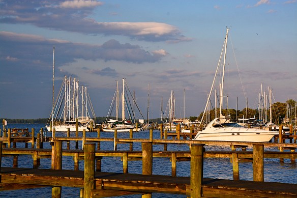 Lin and Michael's Photos