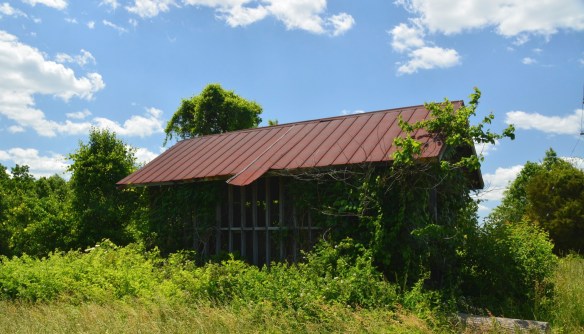 Lin and Michael's Photos