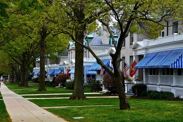 Lin and Michael's Photos