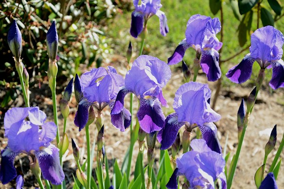 Lin and Michael's Photos