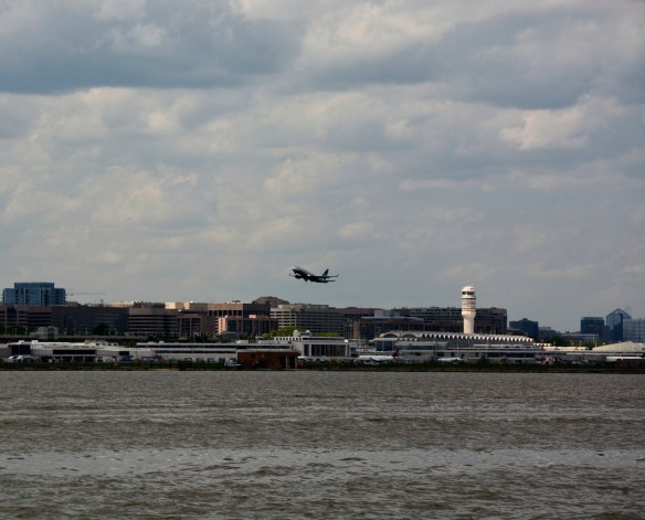 Lin and Michael's Photos