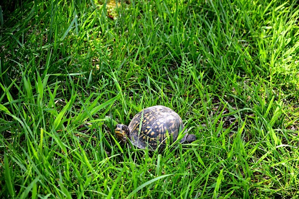 Lin and Michael's Photos