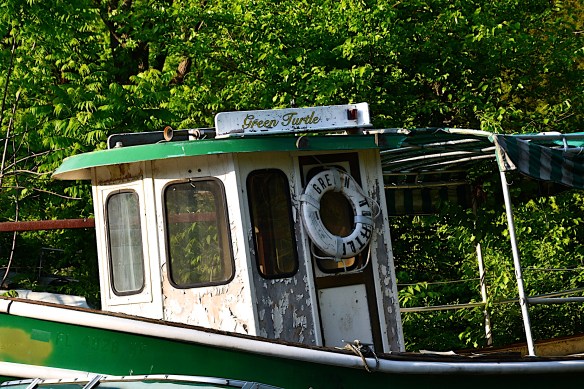 Lin and Michael's Photos