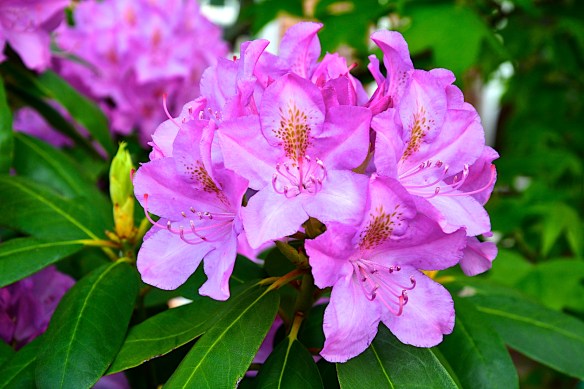 Lin and Michael's Photos