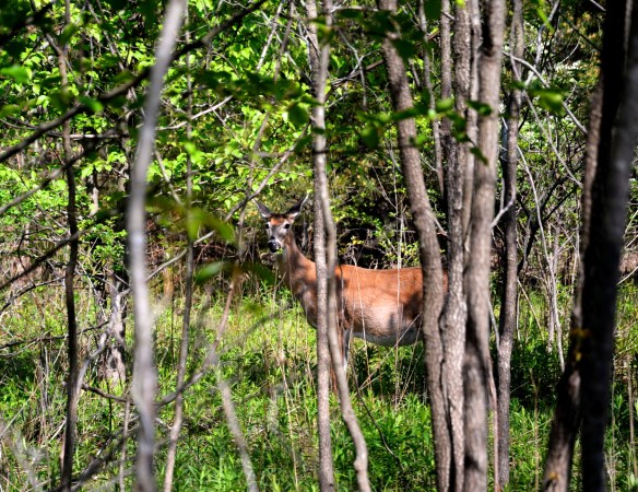 Lin and Michael's Photos