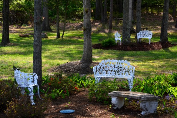 Lin and Michael's Photos