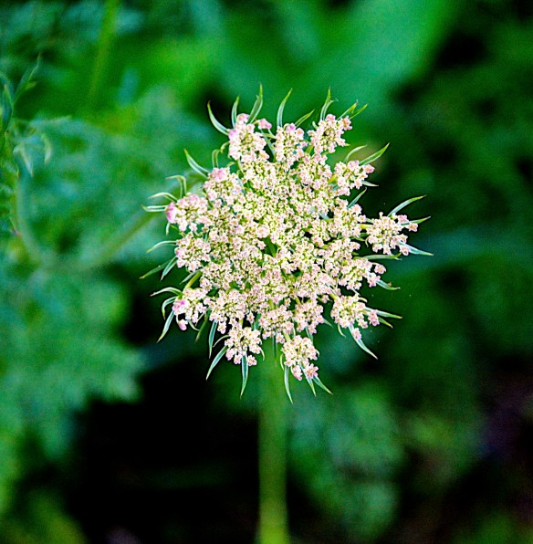 Lin and Michael's Photos