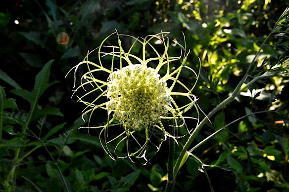 Lin and Michael's Photos