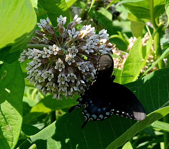 Lin and Michael's Photos