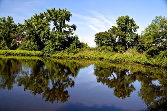 Lin and Michel's Photos