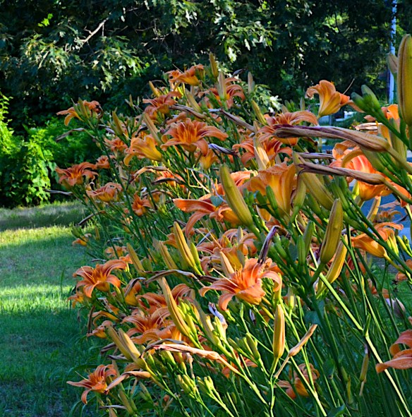 Lin and Michael's Photos