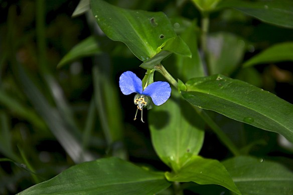 Lin and Michael's Photos