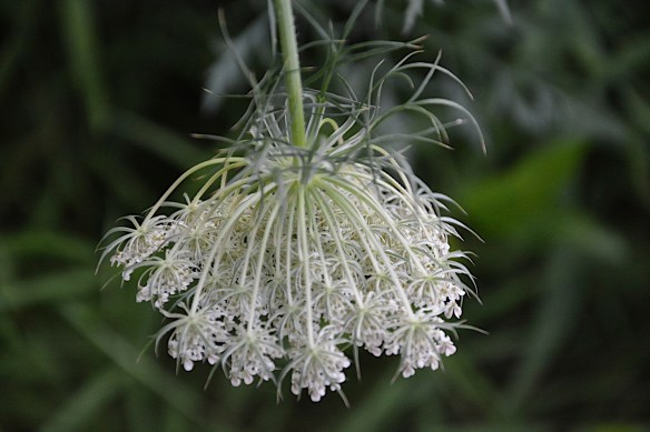 Lin and Michael's Photos