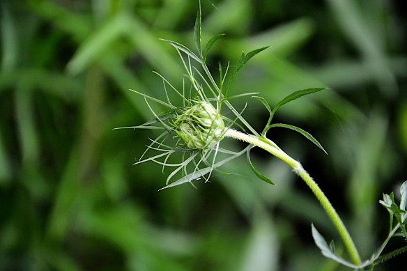 Lin and Michael's Photos