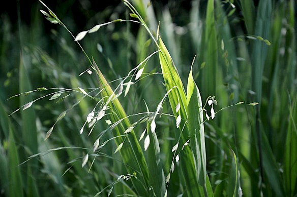 Lin and Michael's Photos