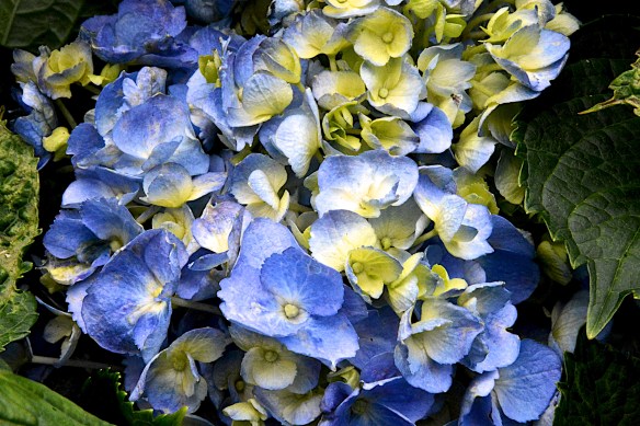 Lin and Michael's Photos