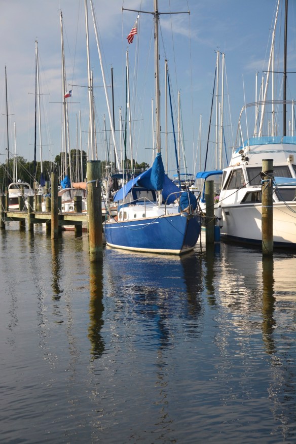 Lin and Michael's Photos