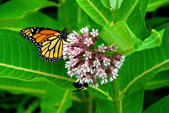 Lin and Michael's Photos