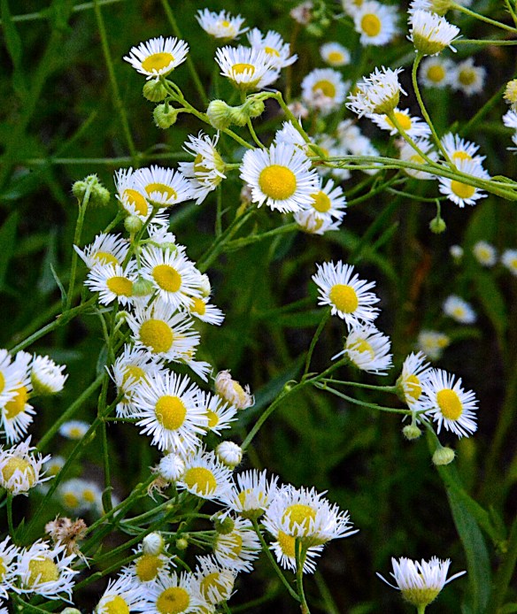 Lin and Michael's Photos