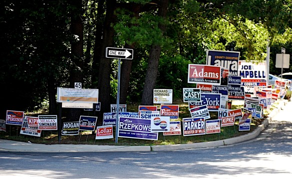 Lin and Michael's Photos