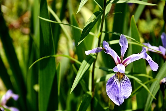 Lin and Michael's Photos