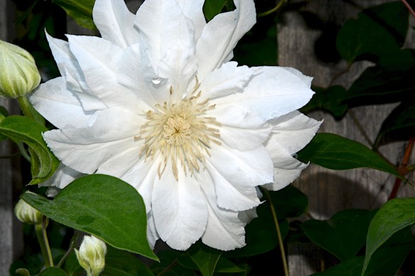 Lin and Michael's Photos