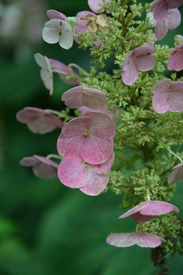 Lin and Michael's Photos