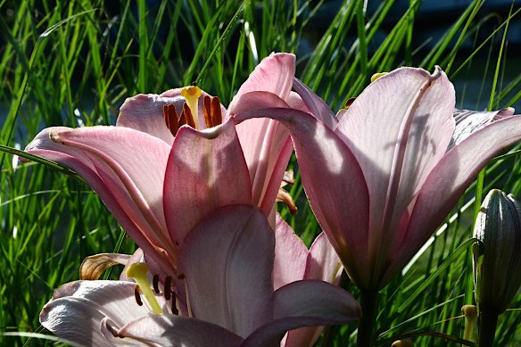 Lin and Michael's Photos