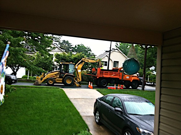 Lin and Michael's Photos