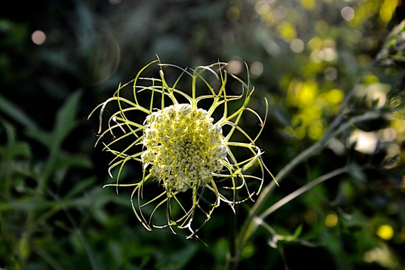 Lin and Michael's Photos