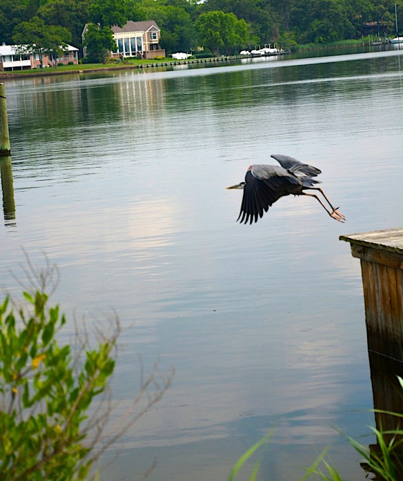 Lin and Michael's Photos