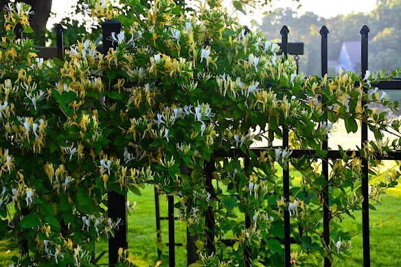 Lin and Michael's Photos