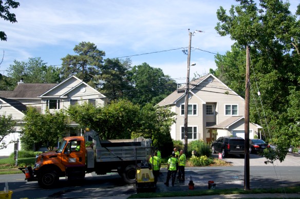 Lin and Michael's Photos