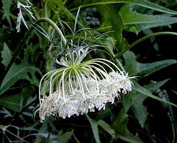 Lin and Michael's Photos