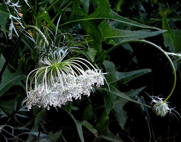 Lin and Michael's Photos