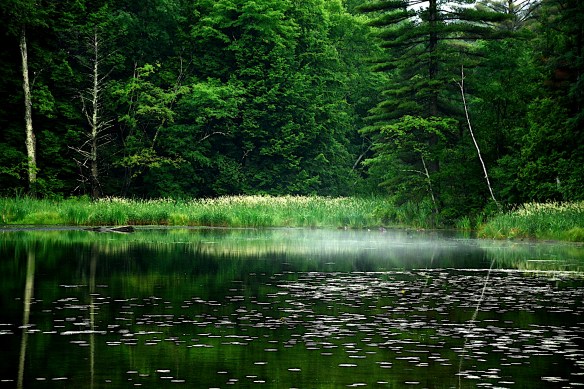 Lin and Michael's Photos